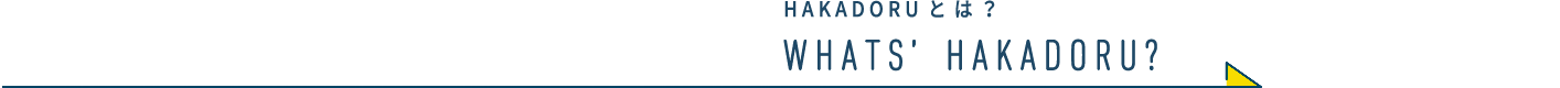 HAKADORUとは?